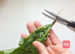 Illustration of how to make autumn healthy side dishes, radish sprouts and small tofu 1