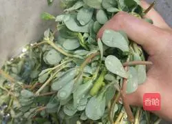 Cold purslane recipe 4