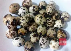Illustration of salt-baked quail eggs 2