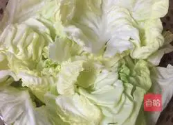 Illustration of how to cook cabbage 2