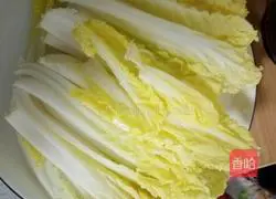 Illustration of how to make bean sprouts 3