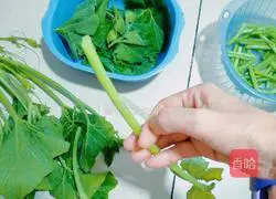 Illustration of how to make stir-fried pumpkin vines 2