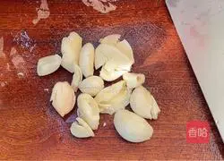 Garlic Mustard Recipe Illustration 1