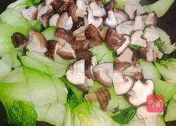 Illustration of how to stir-fry shiitake mushrooms and sea greens 8