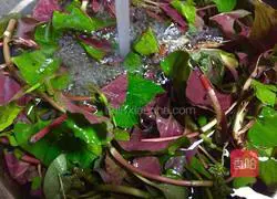 Spring wild vegetables~Illustration of how to make cold folded ear root (leaves) 2