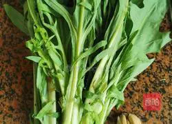 Illustration of how to make stir-fried bitter wheat vegetables 1