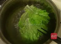 Oyster Sauce Lettuce Recipe Illustration 3