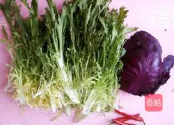 Illustration of how to make vegetarian chicory 2