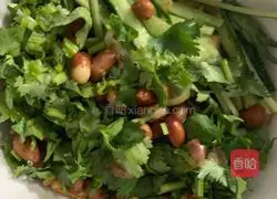 Illustration of lemon shredded chicken 11