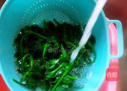 Illustration of how to make cold Tianqi vegetables 17