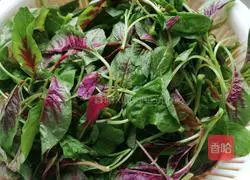 Illustration of how to make minced garlic and red amaranth 2