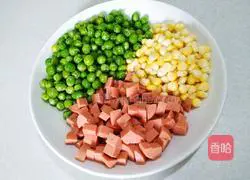 Illustration of the Recipe of Vegetarian Fried Sanding 4