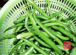 Illustration of how to make tiger skin and two vitex branches 1