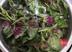 Garlic Amaranth Recipe Illustration 1