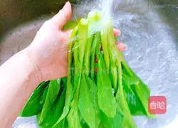 Boiled Illustration of how to make cabbage 1