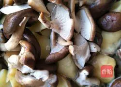 Illustration of how to make stewed potatoes with precious mushrooms 19