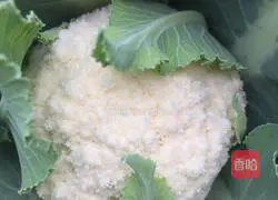 Ant-baked spicy cauliflower recipe 1