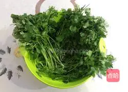 Illustration of how to make steamed coriander 2