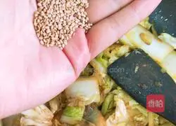 Cumin cabbage recipe 6