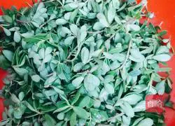 Illustration of how to make cold purslane 1