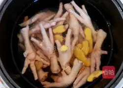 Lemon Passion Fruit Chicken Feet Illustration 3