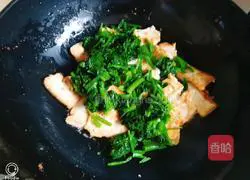 Spinach tofu (Oleo Extra Virgin Olive Oil) Recipe Illustration 11