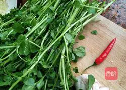 Illustration of how to make garlic watercress 1