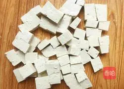 Homemade Illustration of how to make tofu 2