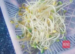 Illustration of how to stir-fry sprouts 3