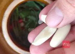 Illustration of making pickles 11