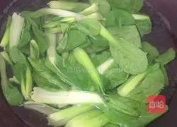 Illustration of how to make cold rapeseed 4