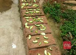 Appetizing green cantaloupe recipe 4