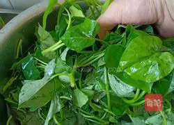 Stir-fried sweet potato tips Illustration of how to do it 1