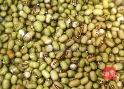 Illustration of how to make self-sprouted bean sprouts 1