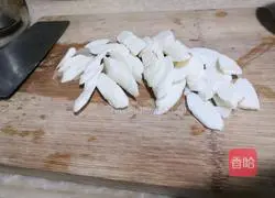 Vegetarian Illustration of Sanding's practice 2