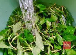 Illustration of how to make stir-fried dried malan 3