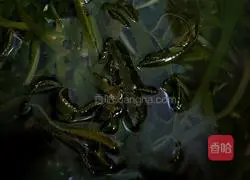 Illustration of how to make cold kelp shreds 3