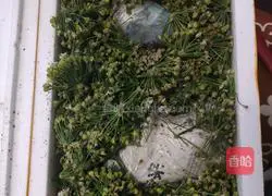 Illustration of how to make flavored chive flowers 1