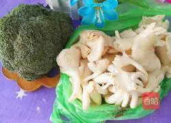 Illustration of the affectionate practice of green leaves towards roots 1