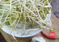 Illustration of how to make spicy bean sprouts 1