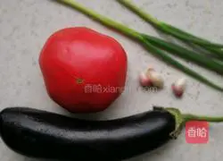 Illustration of how to cook eggplant with tomatoes 1