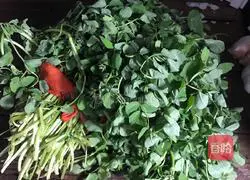 Illustration of stir-fried goldenrod 1