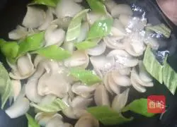 Saute Illustration of how to make lily jade particles 2