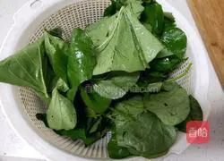 Illustration of how to stir-fry tomatoes with sweet potato leaves 1