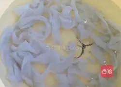 Illustration of the Northeast Facelift 2