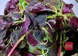 Illustration of how to make garlic amaranth 1