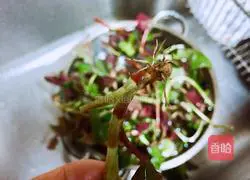 Spring wild vegetables~Illustration of how to make cold folded ear roots (leaves) 3