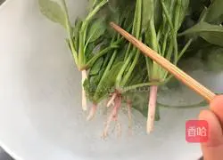 Illustration of how to make red-billed green parrot 4