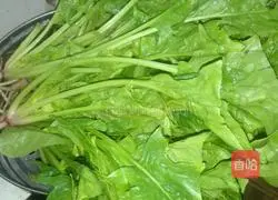 Garlic spinach recipe 2
