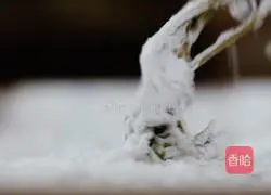 Chinese toon fish‖ Illustration of how to take a sip of toon and a sip of tea when Grain Rain falls 6